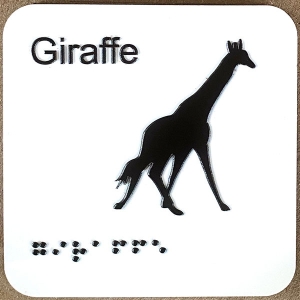 giraffe