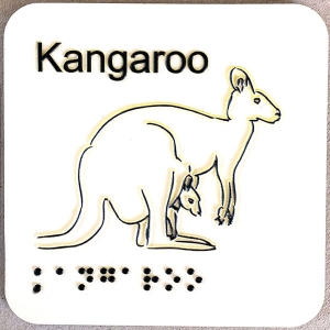 kangaroo