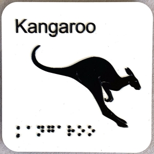 kangaroo2