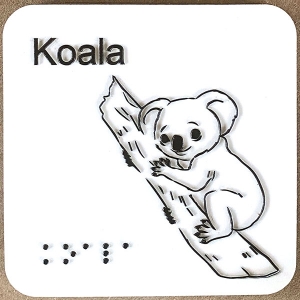 koala