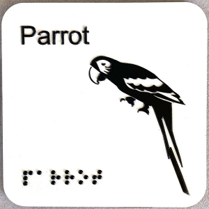 parrot