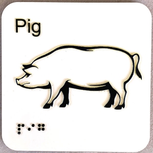 pig