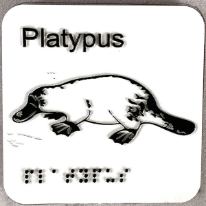 platypus