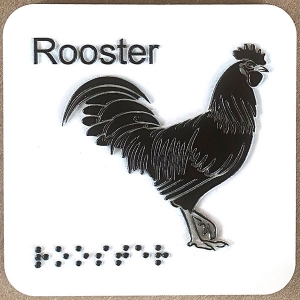 rooster